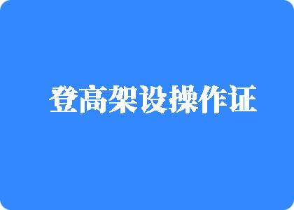 看你操大逼登高架设操作证